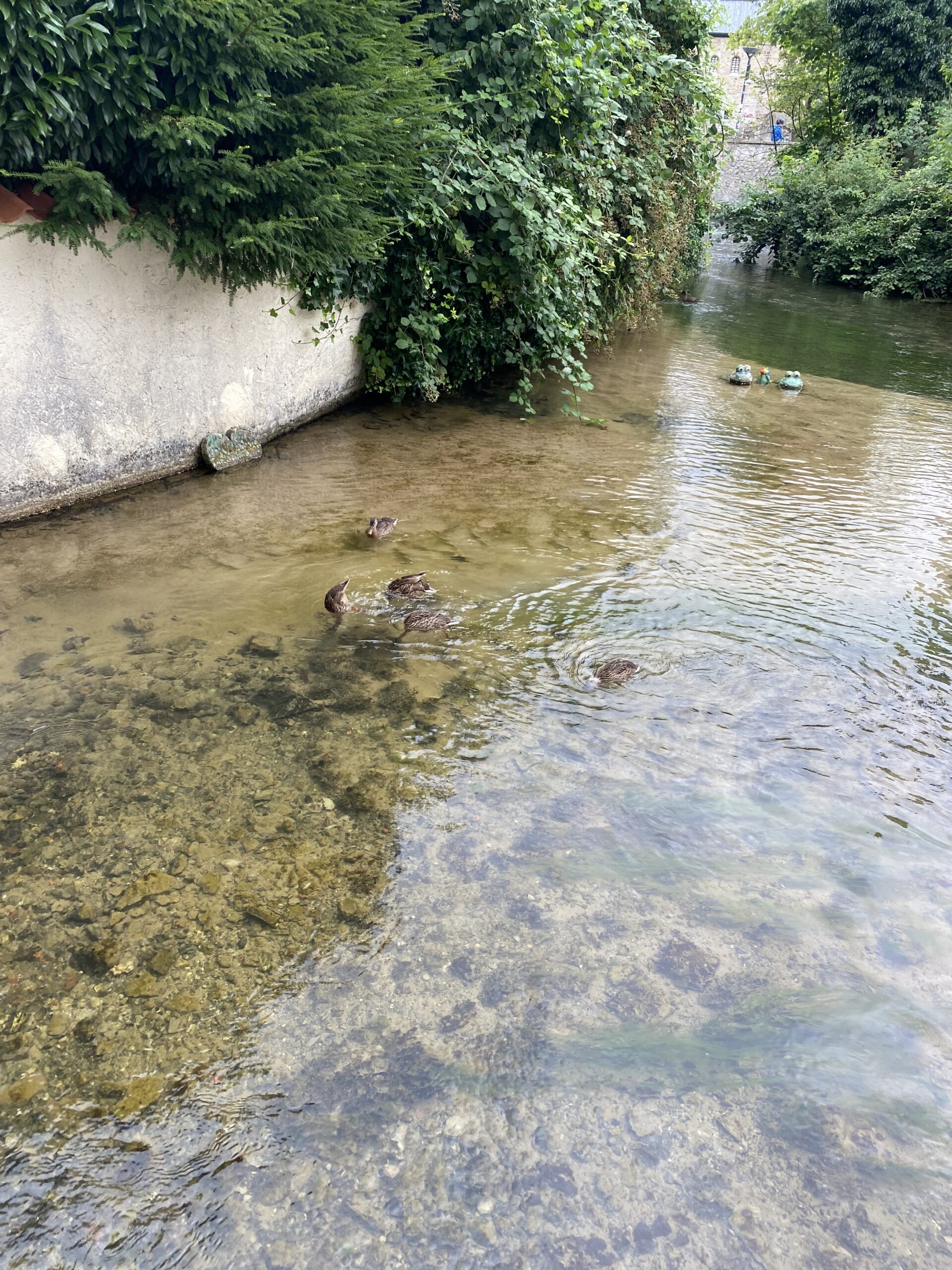 kopf ins Wasser (oder in den Sand)?