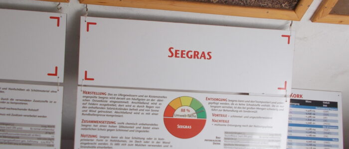 Info zu Seegras # 02